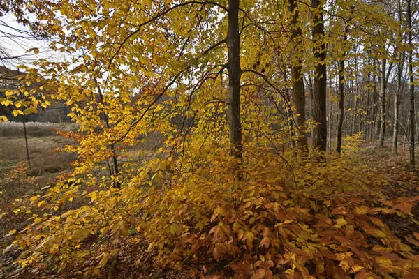 Кадр рекламы TopSlots Co