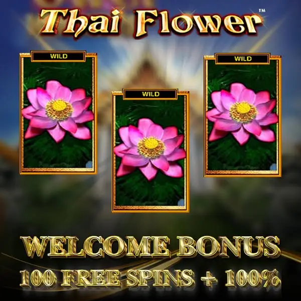 Кадр рекламы Best Slots