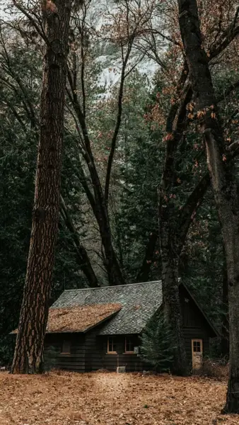 Кадр рекламы Đinh Hồng