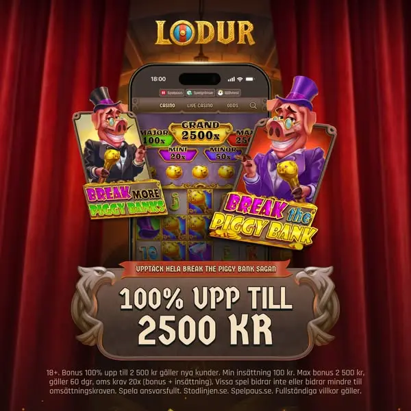 Кадр рекламы Lodur.se