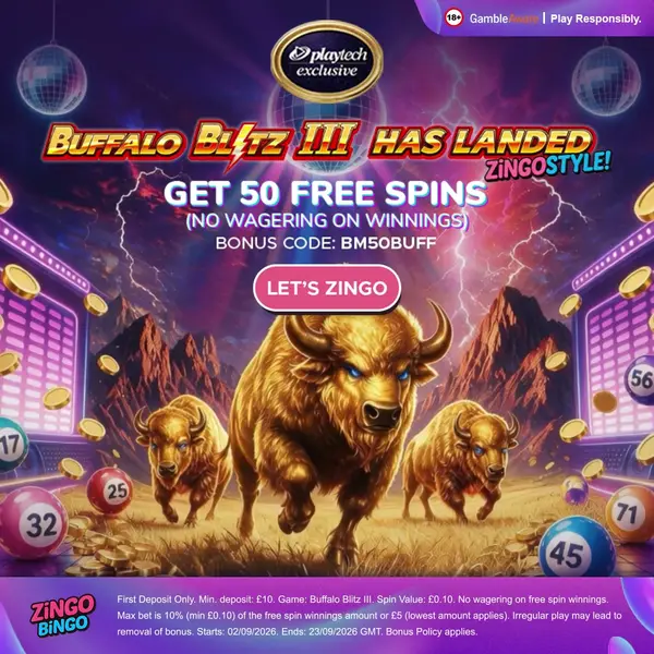 Кадр рекламы Zingo Bingo