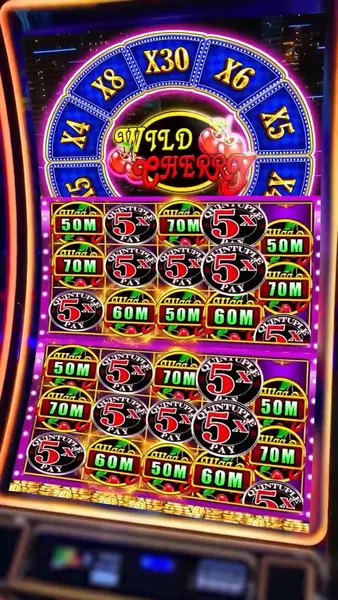 Кадр рекламы Wild Cherry Casino