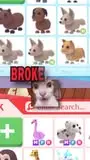 Кадр рекламы StarPets Game Play