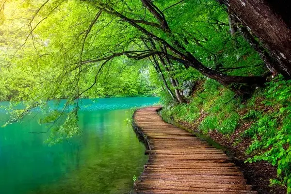 Кадр рекламы Nông Hảo