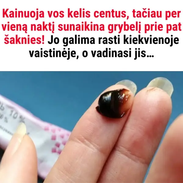 Кадр рекламы Doctor Terion