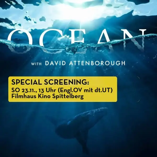 Кадр рекламы Filmhaus. Kino am Spittelberg