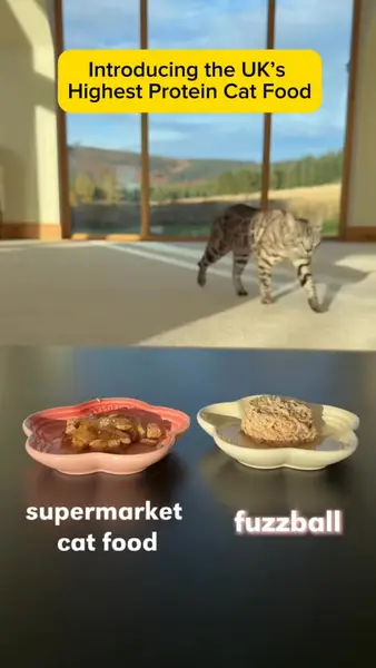 Кадр рекламы Fuzzball