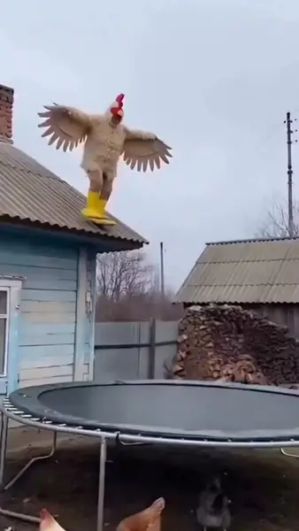 Кадр рекламы Keep the Chicken Alive