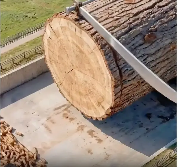 Кадр рекламы Ga go2