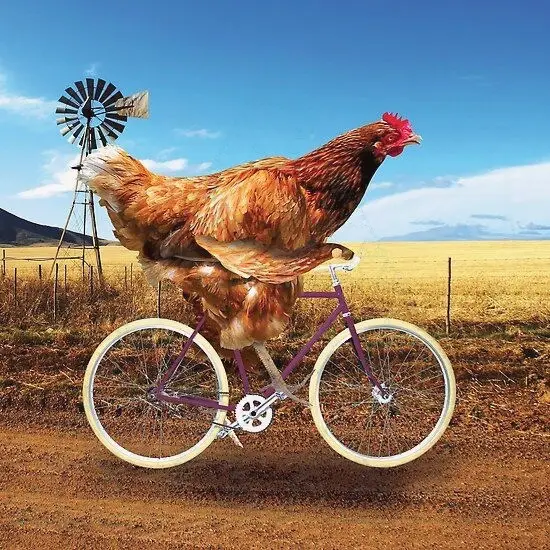 Кадр рекламы Chicken Coins X2200