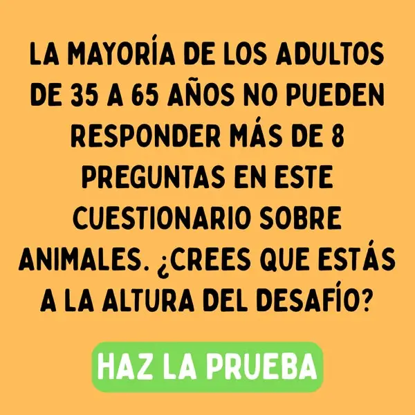 Кадр рекламы We're All About Pets