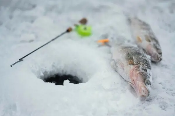 Кадр рекламы Hole Hunter