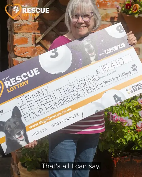 Кадр рекламы Dogs 4 Rescue