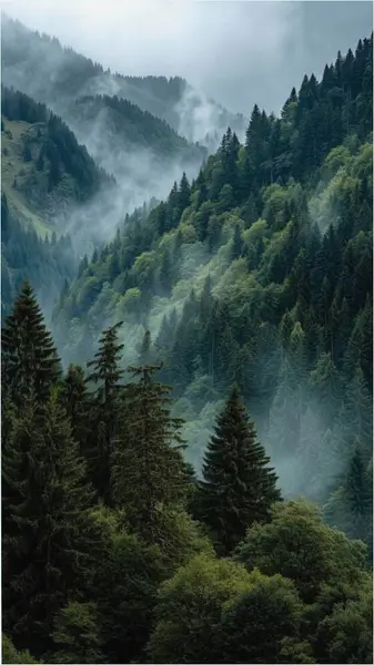 Кадр рекламы Mountainn View