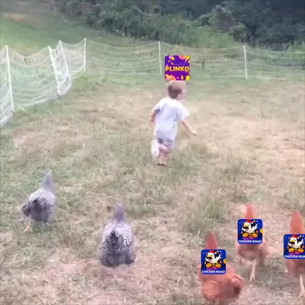 Кадр рекламы Chicken Rally 2