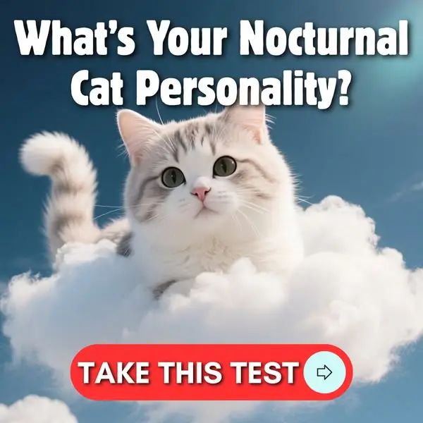 Кадр рекламы We're All About Pets