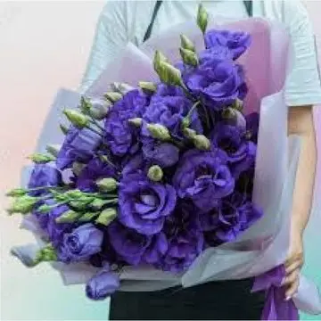 Кадр рекламы Caitlyn McNulty Philip