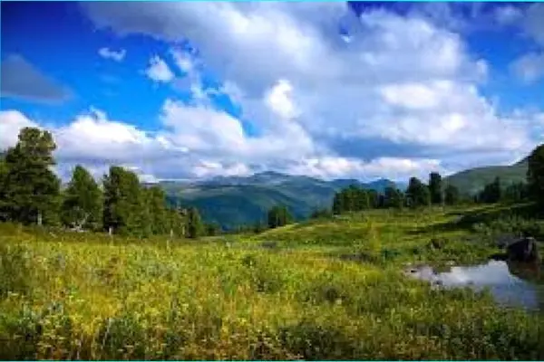 Кадр рекламы Celestia Ardenne