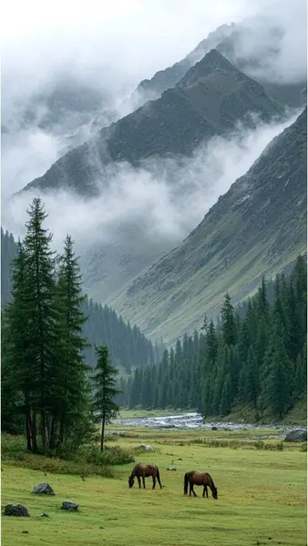 Кадр рекламы Forest Light