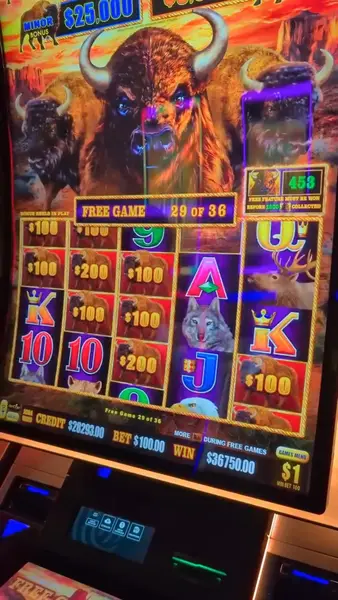 Кадр рекламы BuffaloLink Casino