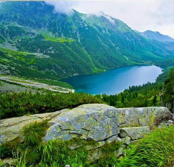Кадр рекламы Сh1cken Adventure