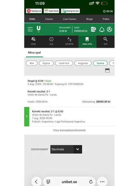 Кадр рекламы arctic_betting
