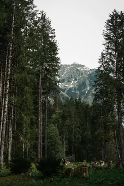 Кадр рекламы Aventura Infinita