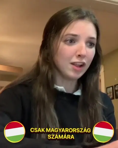 Кадр рекламы Itpabdogs