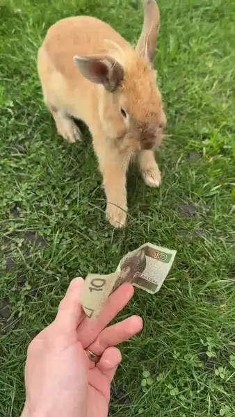 Кадр рекламы BIG WIN
