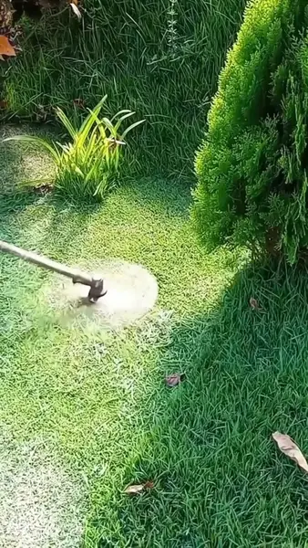 Кадр рекламы AMZGarden