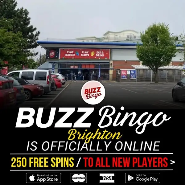 Кадр рекламы Bingo Online