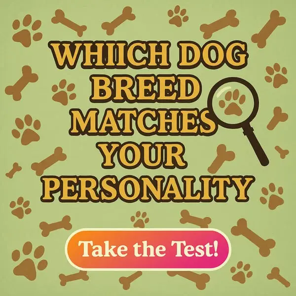 Кадр рекламы Pet Food Sherpa