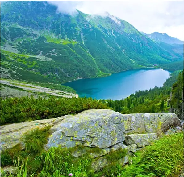 Кадр рекламы Wild Shore