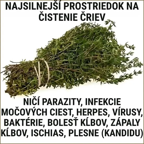 Кадр рекламы Christy Barnes