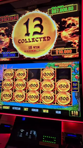 Кадр рекламы Dragon Link Slots