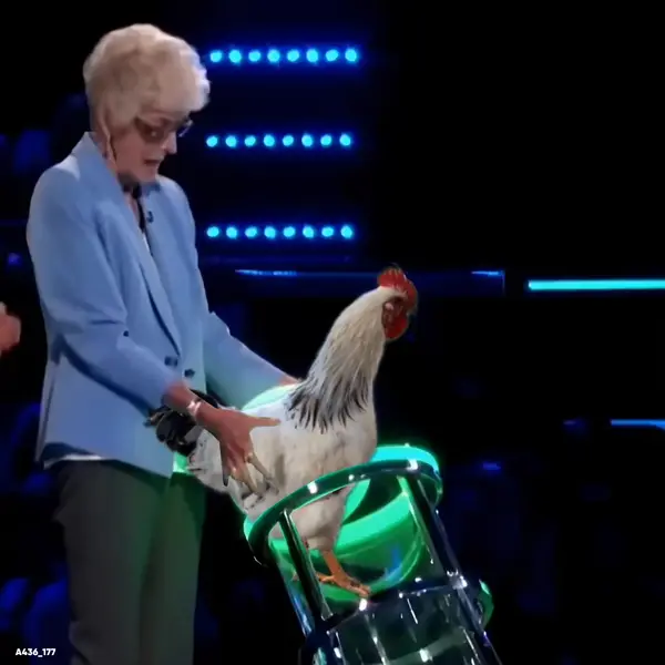 Кадр рекламы Chicken road