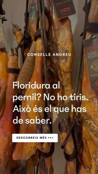 Кадр рекламы Andreu Gastronomia