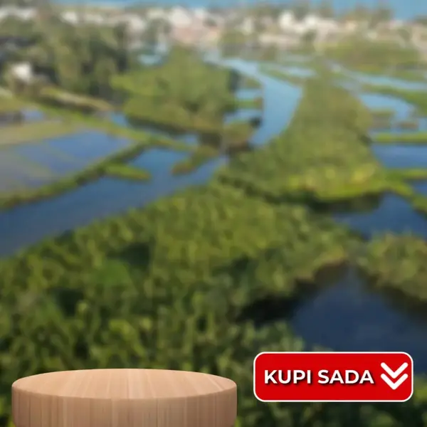Кадр рекламы Sophronia kobebo Heulwen