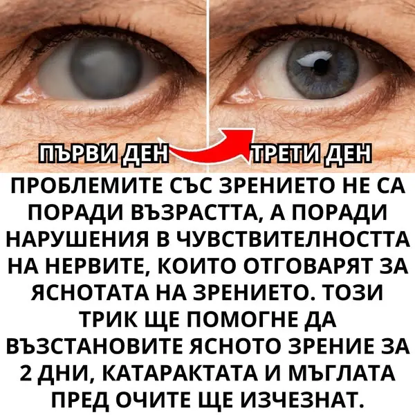 Кадр рекламы Doc Hopper Dord