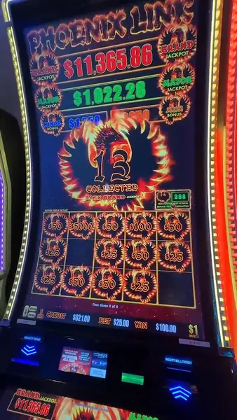 Кадр рекламы Phoenix Link Casino