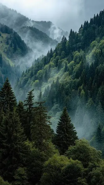 Кадр рекламы Brian Brooks