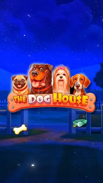 Кадр рекламы The Dogs