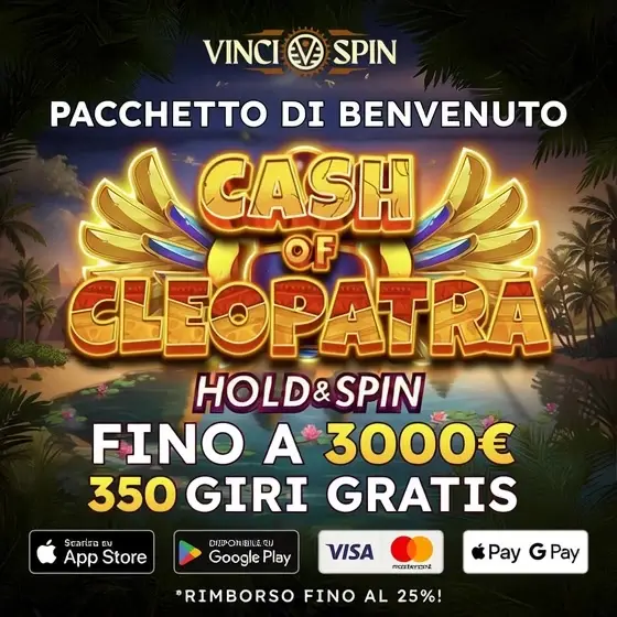 Кадр рекламы Vinci Spin