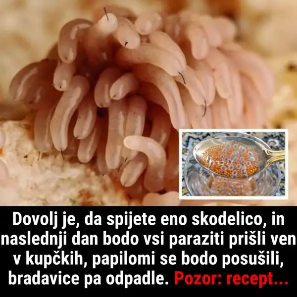 Кадр рекламы Dr.John Davis