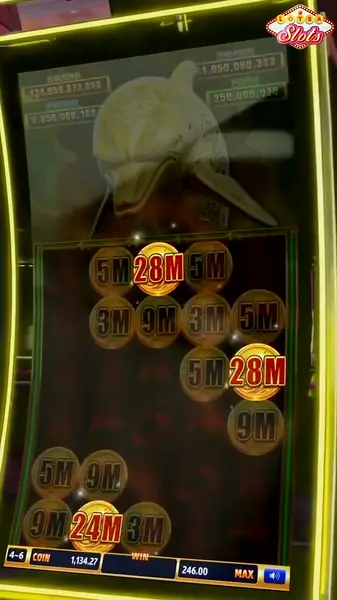 Кадр рекламы Win Slot
