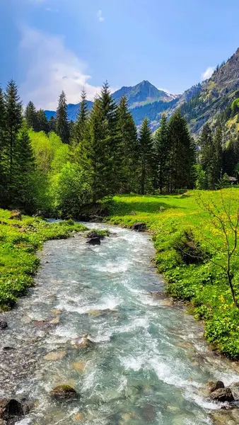 Кадр рекламы Mountain Breeze