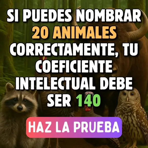 Кадр рекламы We're All About Pets