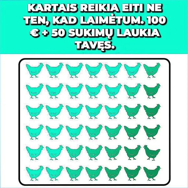 Кадр рекламы Chicken Hit