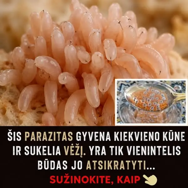 Кадр рекламы Med Fox