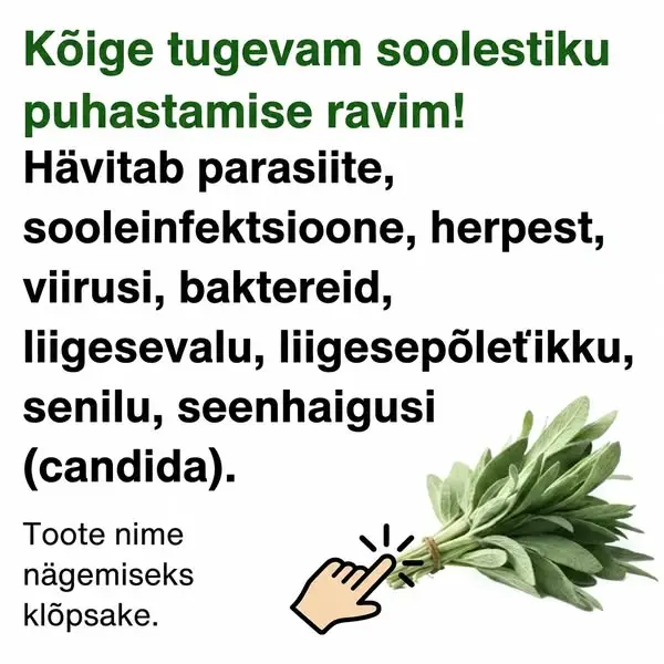 Кадр рекламы Dr.Zoi